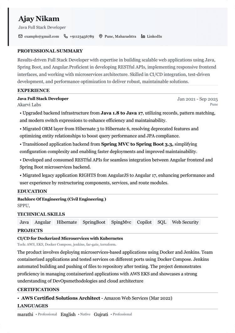 Professional Classic Resume Template